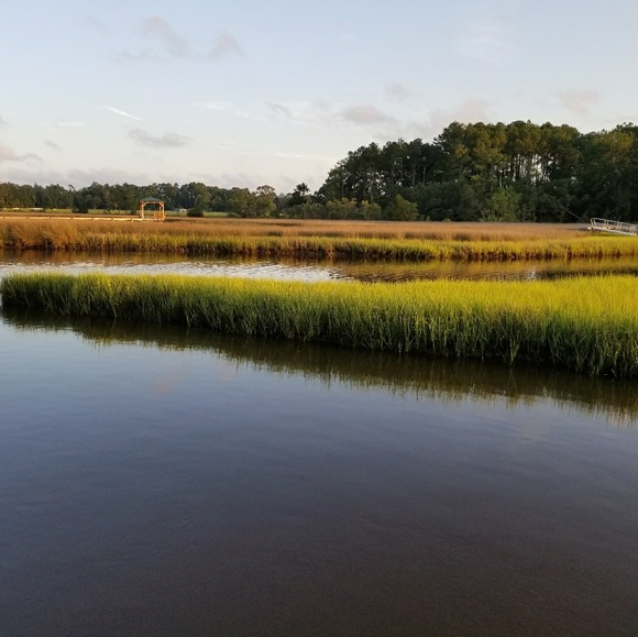 Meet your Posher, Marianne - Picture 2 of 2